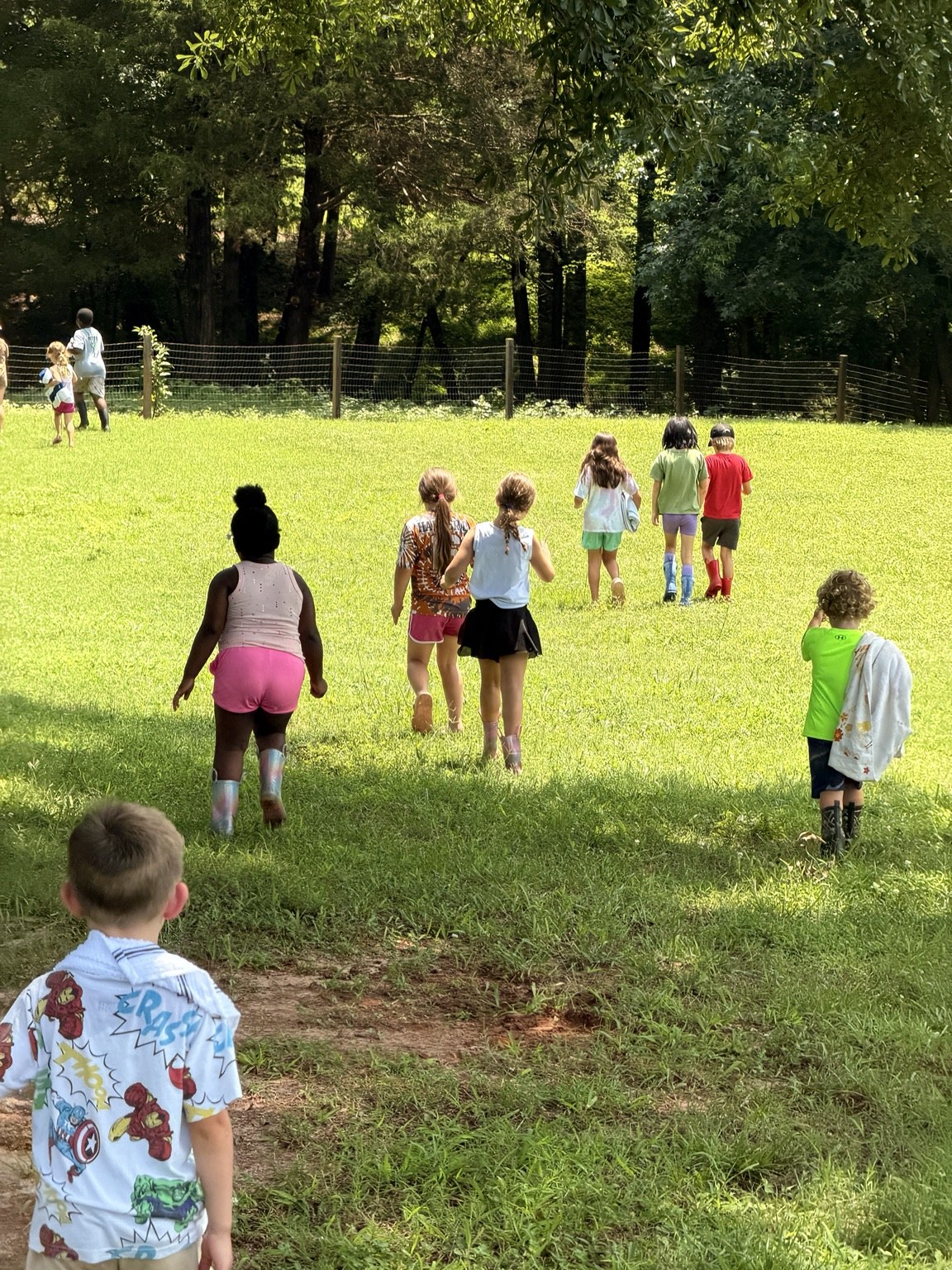 Children exploring the sunny farm meadow